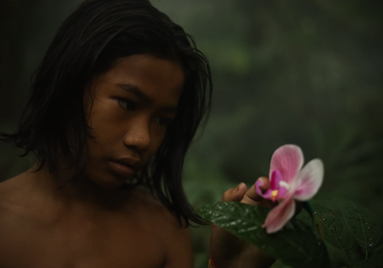 The Garden of Earthly Delights di Morgan Knibbe