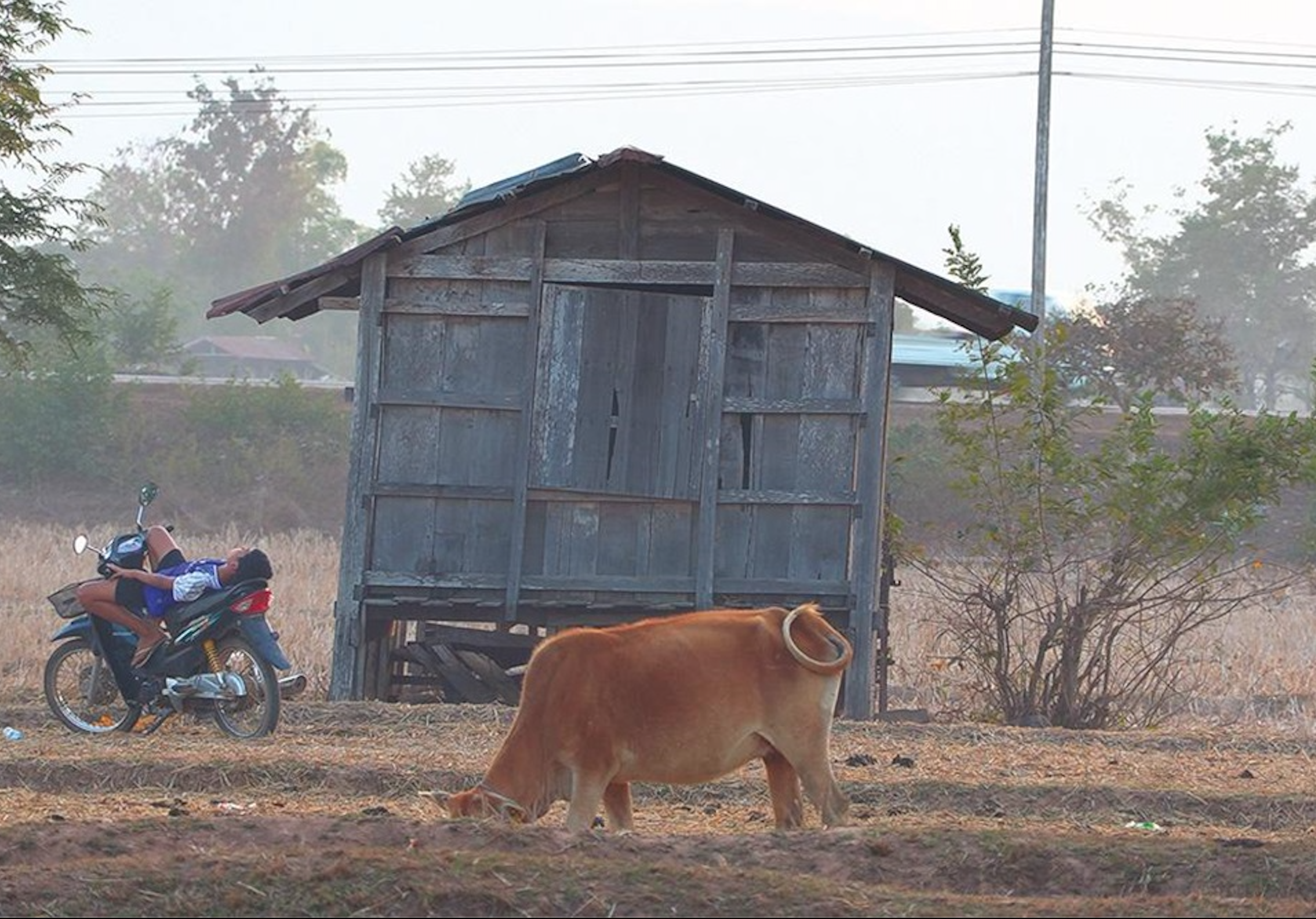 Back Home di Tsai Ming-liang
