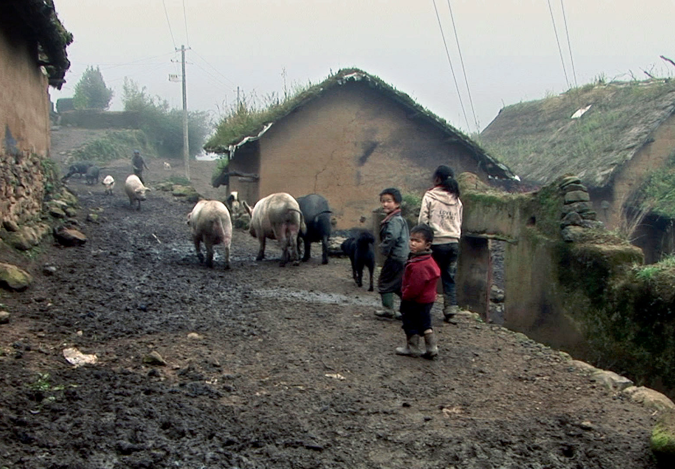 Tre sorelle (2012) - Wang Bing